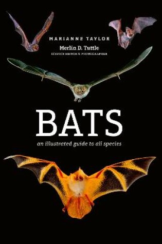 Cover of Bats