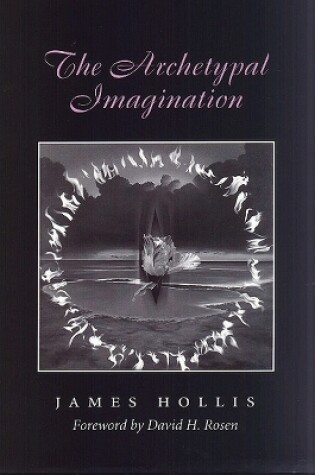 Cover of The Archetypal Imagination