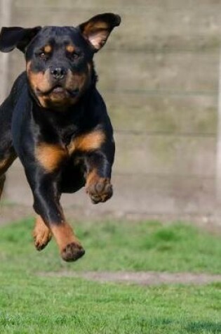 Cover of Rottweiler Sprinting in the Grass Journal