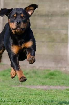 Book cover for Rottweiler Sprinting in the Grass Journal