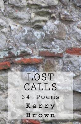 Book cover for Lost Calls