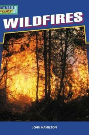 Cover of Wildfires eBook