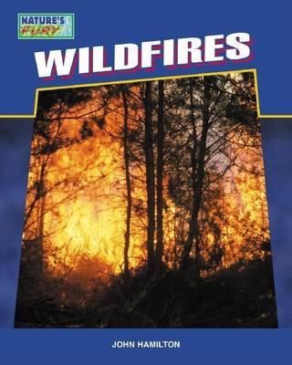 Book cover for Wildfires eBook