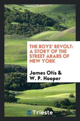 Book cover for The Boys' Revolt