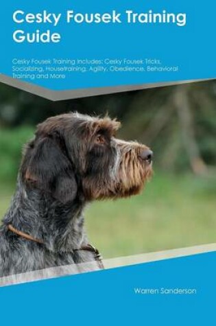 Cover of Cesky Fousek Training Guide Cesky Fousek Training Includes