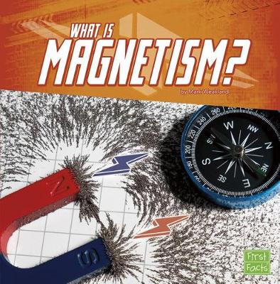 Book cover for What Is Magnetism?