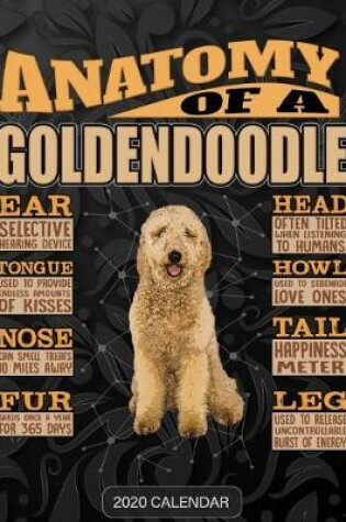 Cover of Anatomy Of A Goldendoodle