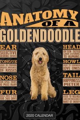 Book cover for Anatomy Of A Goldendoodle