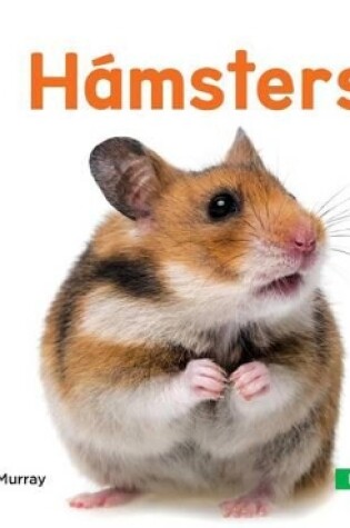 Cover of H�msters (Hamsters)
