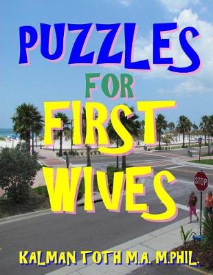 Book cover for Puzzles for First Wives