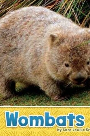 Cover of Australian Animals Wombats a 4D Book