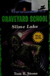 Book cover for Slime Lake