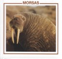 Cover of Morsas