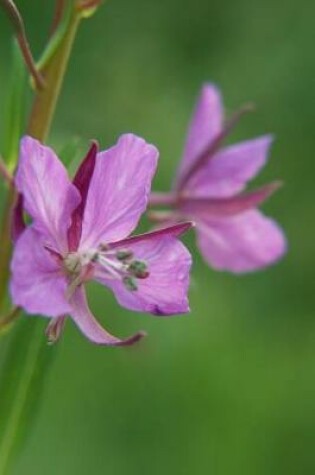 Cover of Pinkish Purple Wildflower - Lined Notebook with Margins