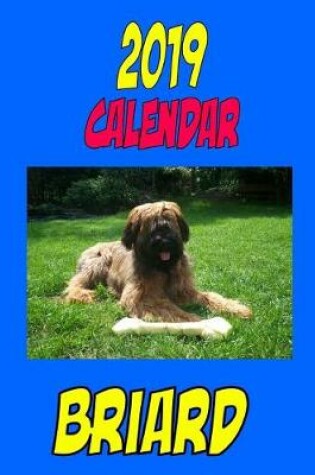 Cover of 2019 Calendar Briard