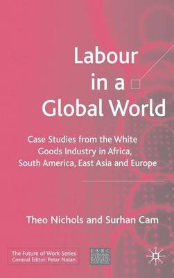 Book cover for Labour in a Global World: Case Studies from the White Goods Industry in Africa, South America, East Asia and Europe