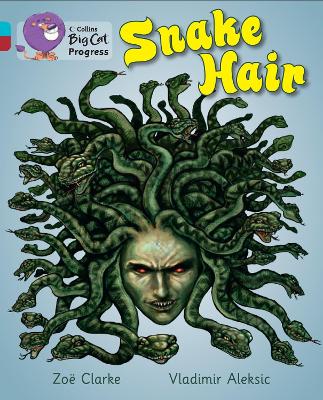 Book cover for Snake Hair