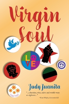 Book cover for Virgin Soul