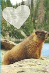 Book cover for Cute Colorado Rocky Mountain Marmot Composition Wide-ruled line School Notebook Sandy Closs