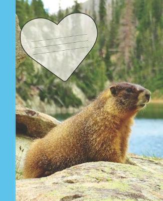 Cover of Cute Colorado Rocky Mountain Marmot Composition Wide-ruled line School Notebook Sandy Closs