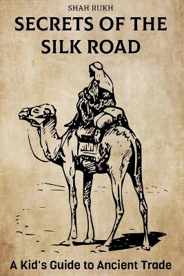 Book cover for Secrets of the Silk Road