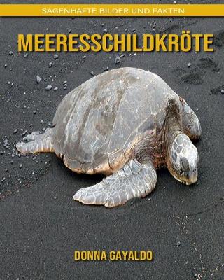 Book cover for Meeresschildkröte