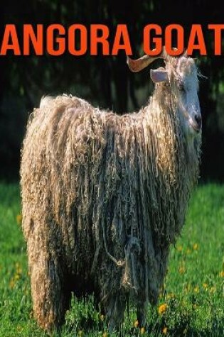 Cover of Angora Goat