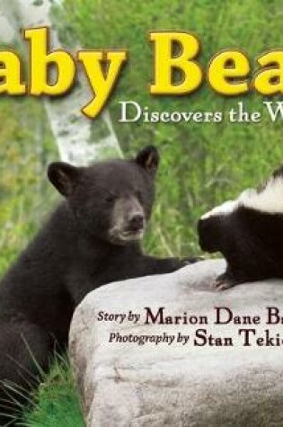 Cover of Baby Bear Discovers the World