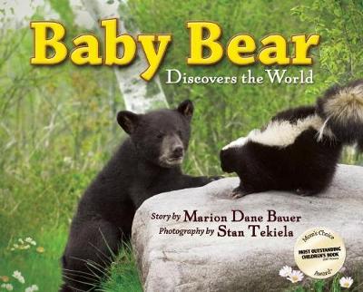 Book cover for Baby Bear Discovers the World