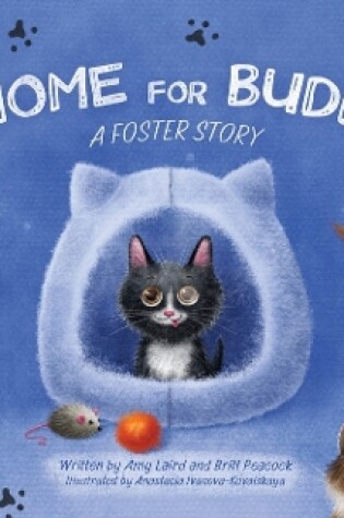 Cover of A Home for Buddy