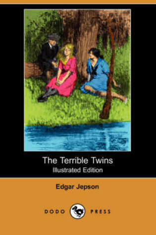 Cover of The Terrible Twins(Dodo Press)
