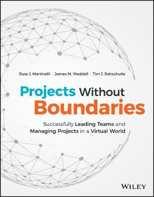 Book cover for Projects Without Boundaries