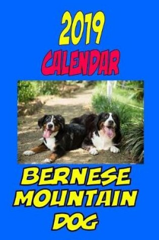 Cover of 2019 Calendar Bernese Mountain Dog