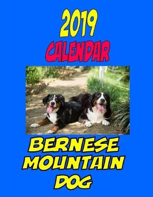 Book cover for 2019 Calendar Bernese Mountain Dog