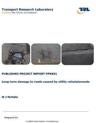 Cover of Long-term damage to roads caused by utility reinstatements