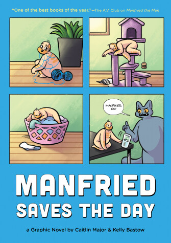 Book cover for Manfried Saves the Day
