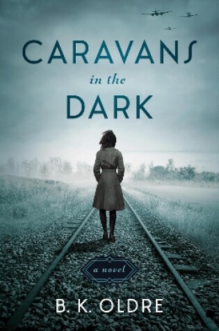 Cover of Caravans in the Dark