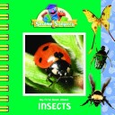 Book cover for My First Book about Insects