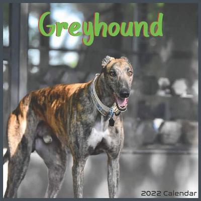 Book cover for Greyhound calendar 2022