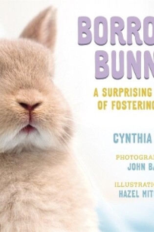 Cover of Borrowing Bunnies
