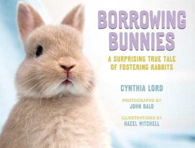 Cover of Borrowing Bunnies