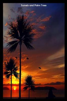 Book cover for Sunsets and Palm Trees