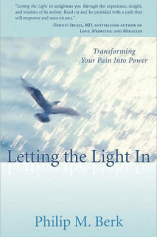 Cover of Letting the Light in