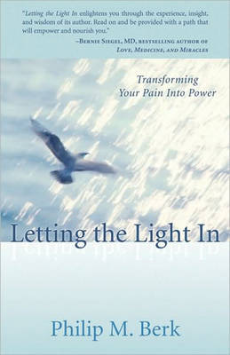 Book cover for Letting the Light in