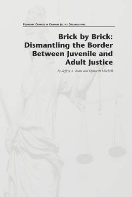 Book cover for Brick by Brick