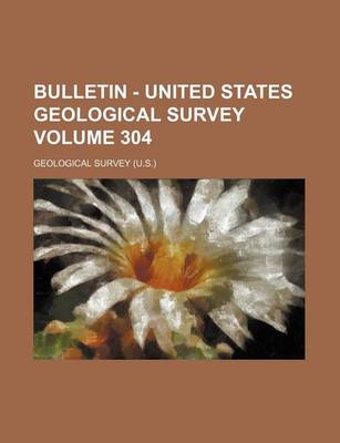 Book cover for Bulletin - United States Geological Survey Volume 304