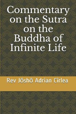 Book cover for Commentary on the Sutra on the Buddha of Infinite Life