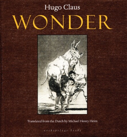 Book cover for Wonder