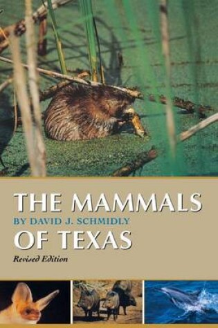 Cover of The Mammals of Texas