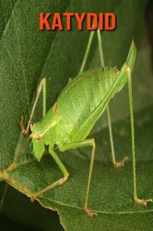 Cover of Katydid